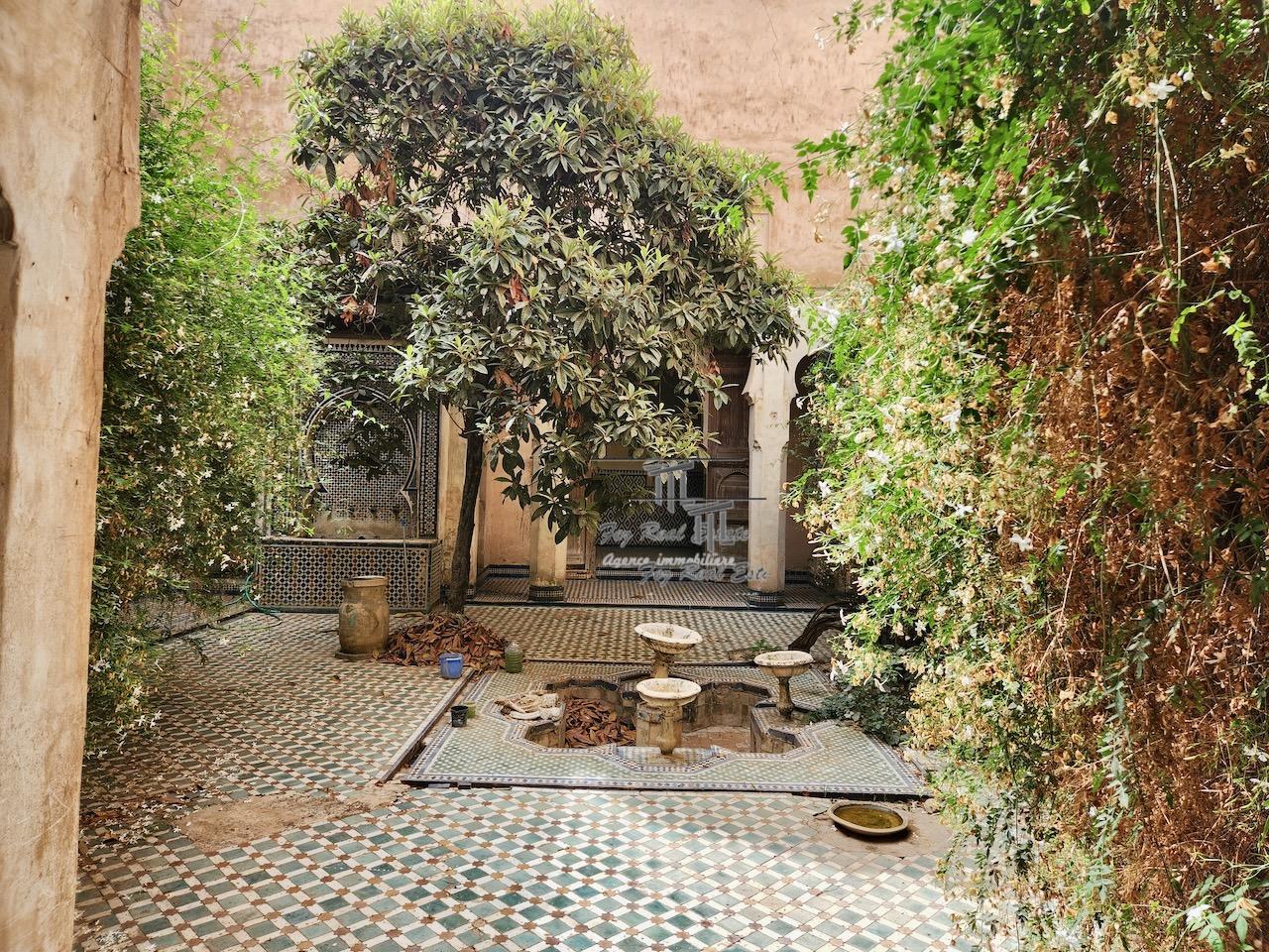 Palace riad for sale maison d'hotes à vendre fès