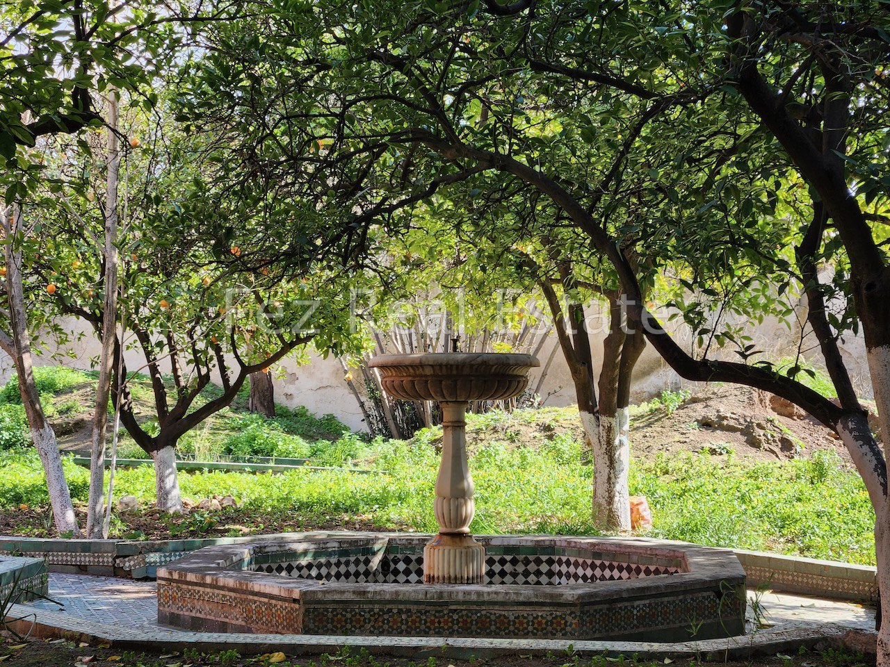 Fez Real Estate – 32