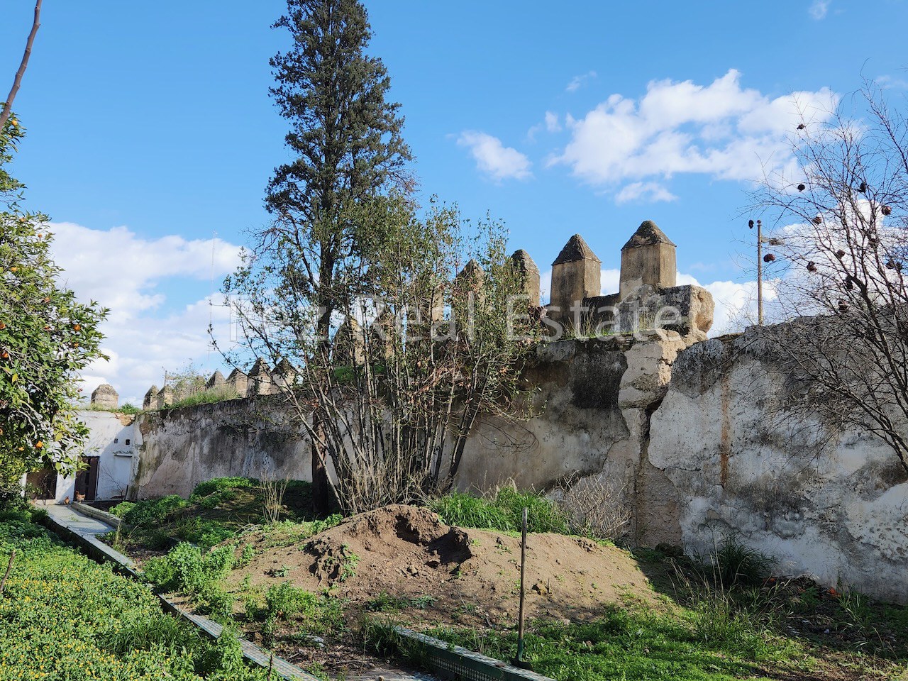 Fez Real Estate – 36