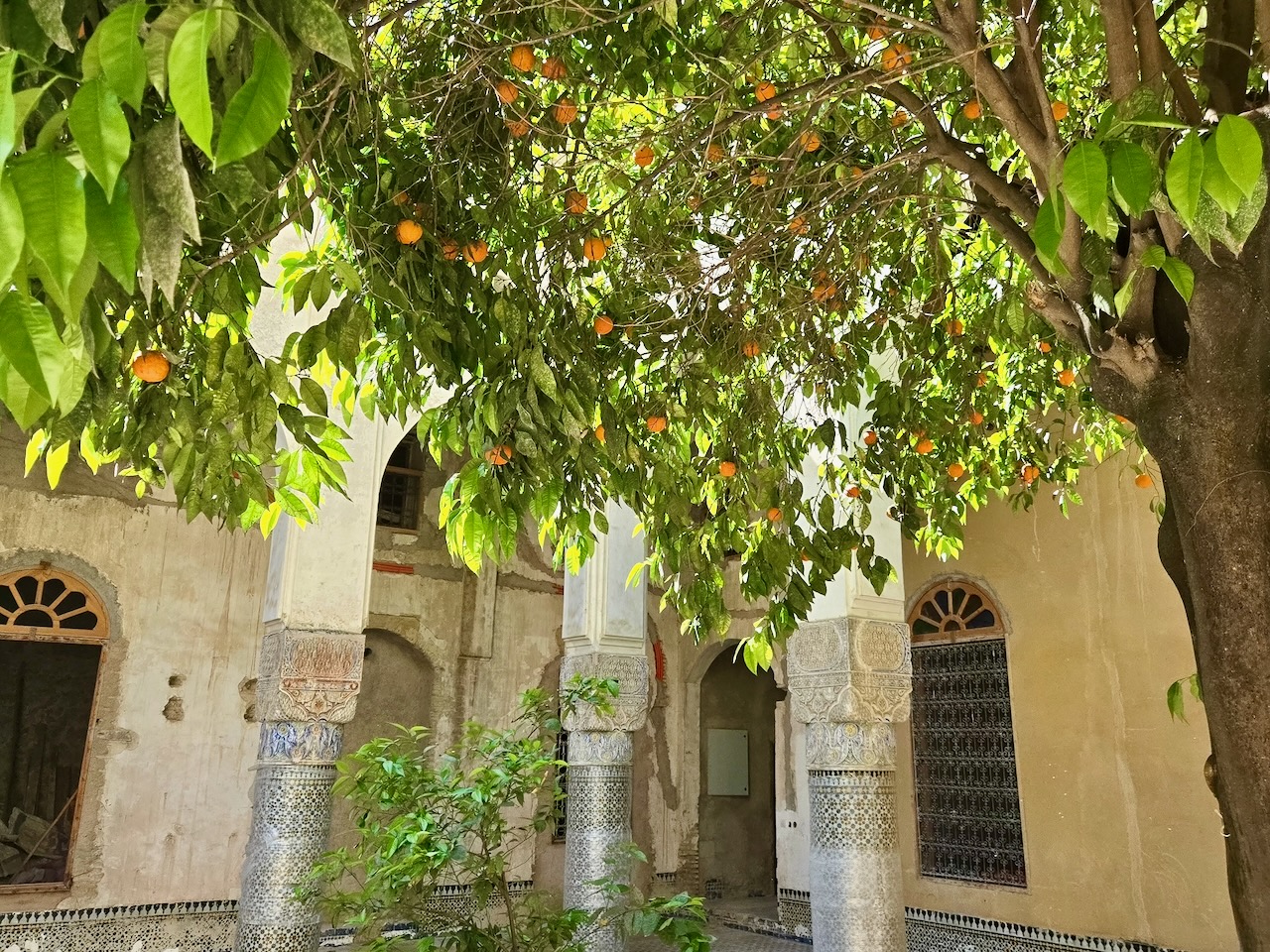 EXCLUSIVE-Riad with Courtyard Garden 900m2