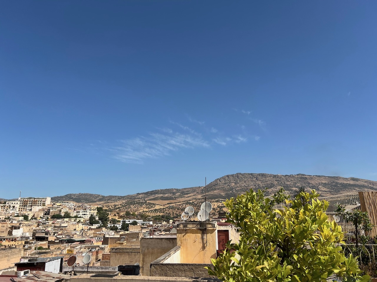 Riad hotel for sale in Fez FOR SALE Elegant 11 bedroom Riad with pool